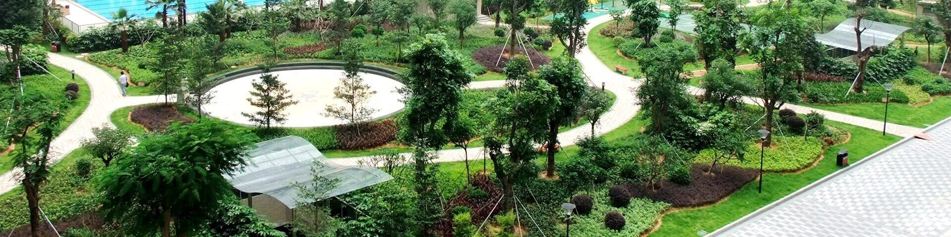 東坑智慧泉幼兒園綠化工程