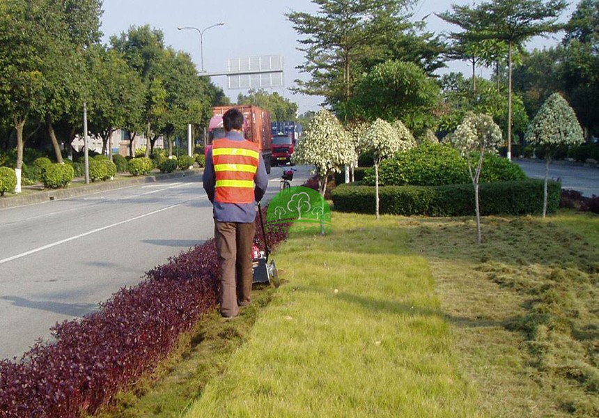 道路綠化養護